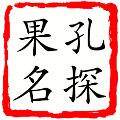 孔探果