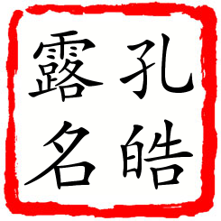 孔皓露