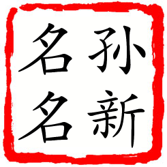 孙新名