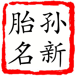 孙新胎