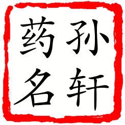 孙轩药