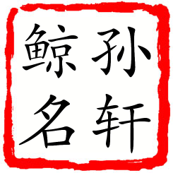 孙轩鲸