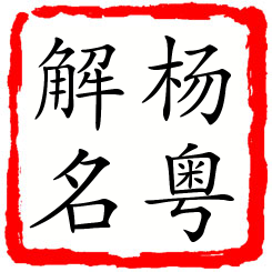 杨粤解