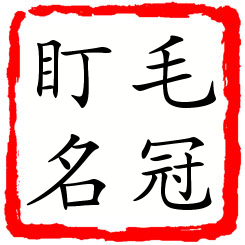 毛冠盯