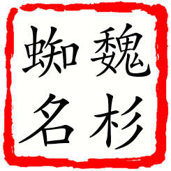 魏杉蜘