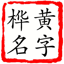 黄字桦